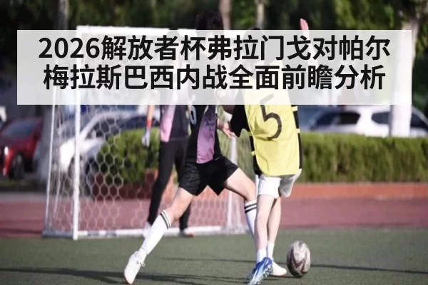 2026解放者杯弗拉门戈对帕尔梅拉斯巴西内战全面前瞻分析